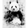 Black and white panda