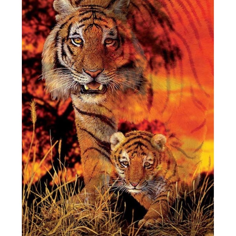 Tiger in the savanna...