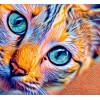 Multicoloured cat