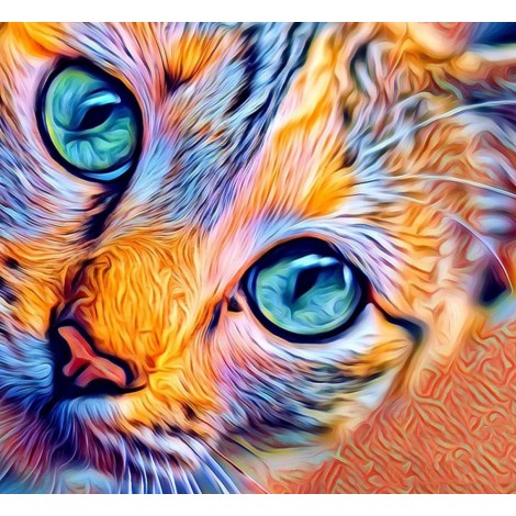 Multicoloured cat
