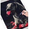 Dog playing with red petals
