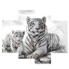 White tiger 4 Pieces Set
