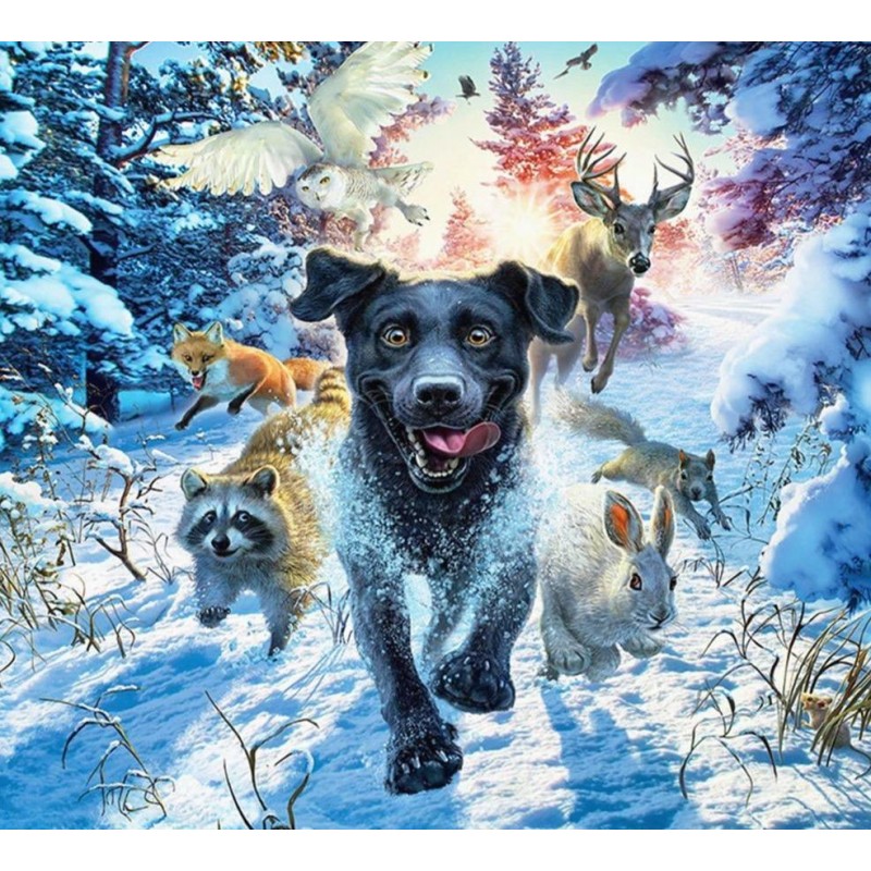 Happy pack running i...