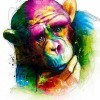 Pop art monkey face