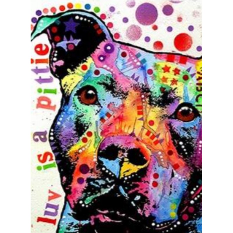 Colourful pit bull