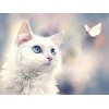 White kitten looking at a butterfly