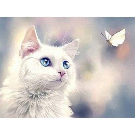 White kitten looking at a butterfly