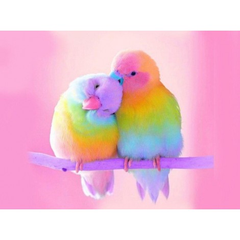 Beautiful multicoloured little birds