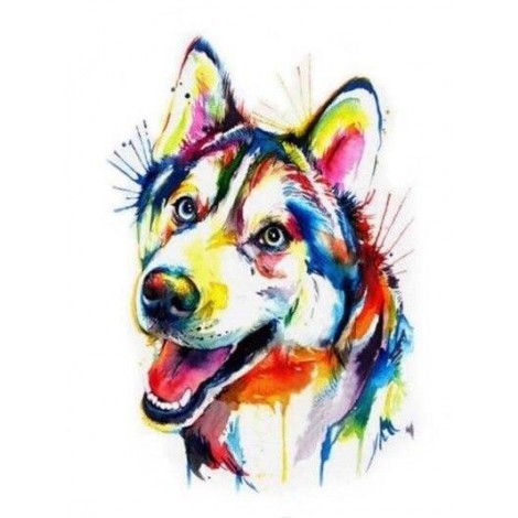 Colourful siberian husky