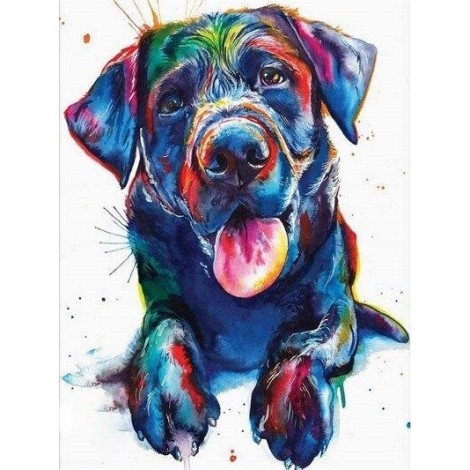 Colourful labrador