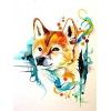 Colourful shiba inu