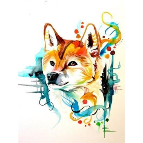 Colourful shiba inu