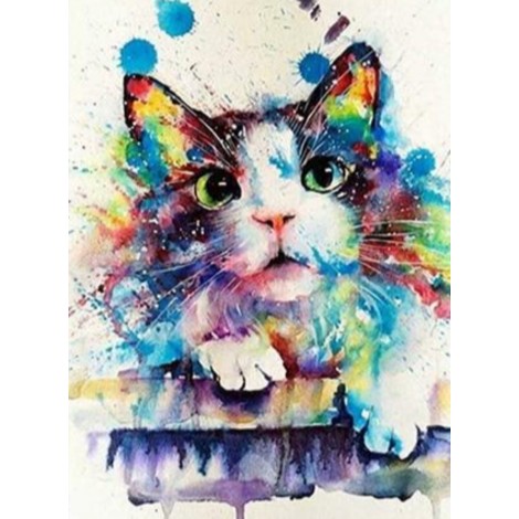 Colourful cat 3