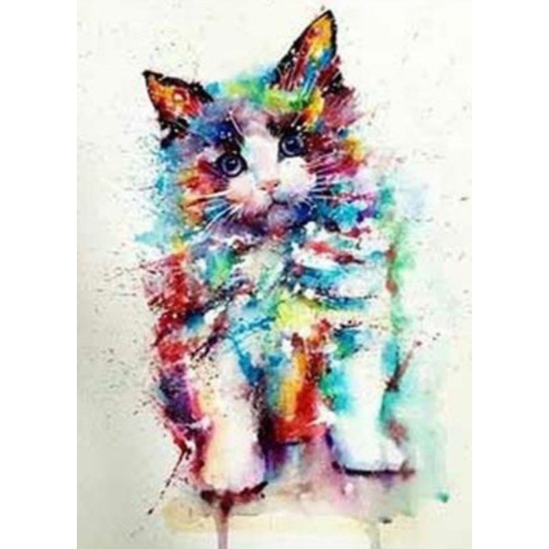 Colourful cat 4