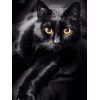 Full black cat with yellow eyes