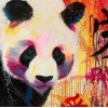 Colourful panda close up