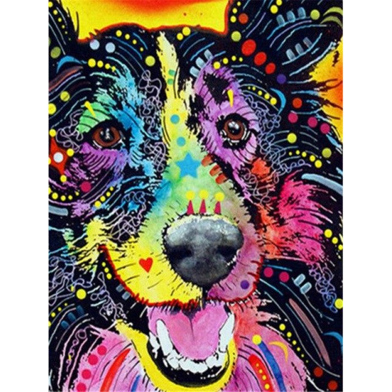 Colourful collie