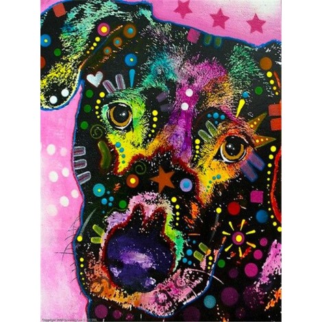 Colourful black labrador