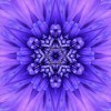 Bright Purple Mandala