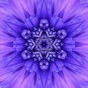 Bright Purple Mandala