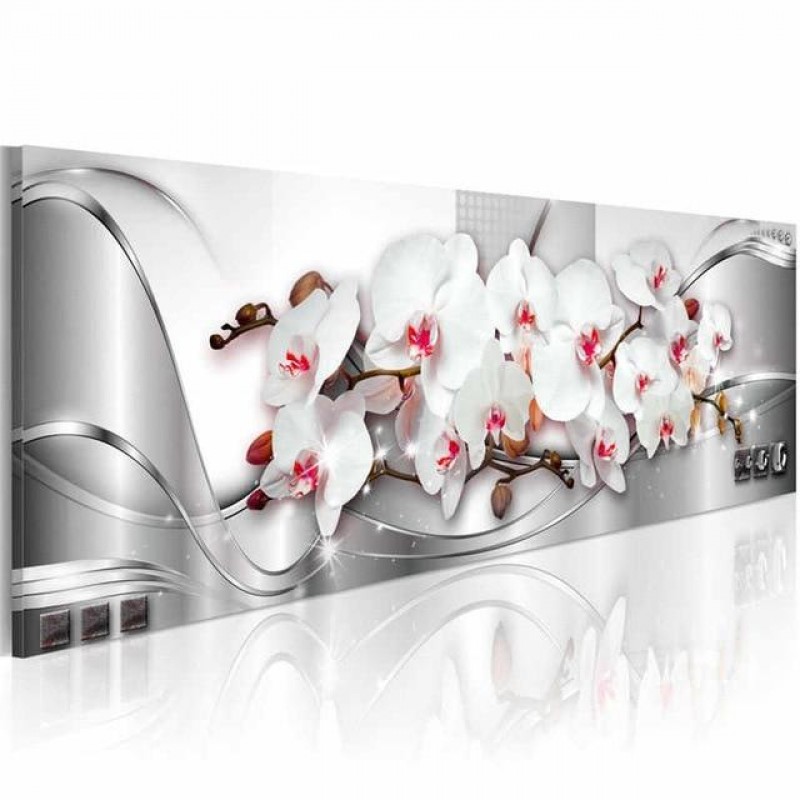 White and pink orchi...