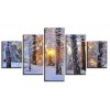 Sunlight between the snowy trees 5 Pieces set