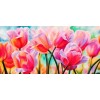 Multicoloured Tulips