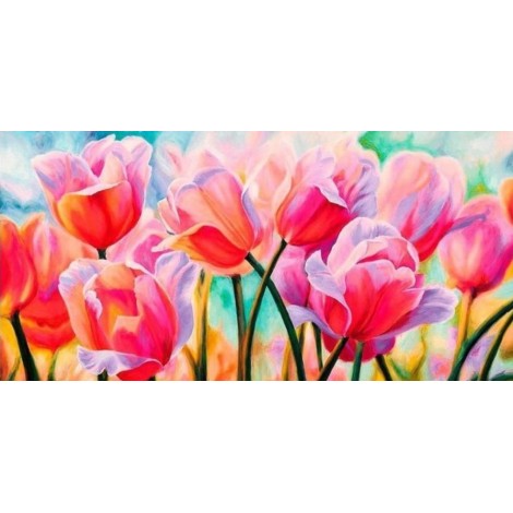 Multicoloured Tulips