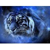 Cosmic tiger