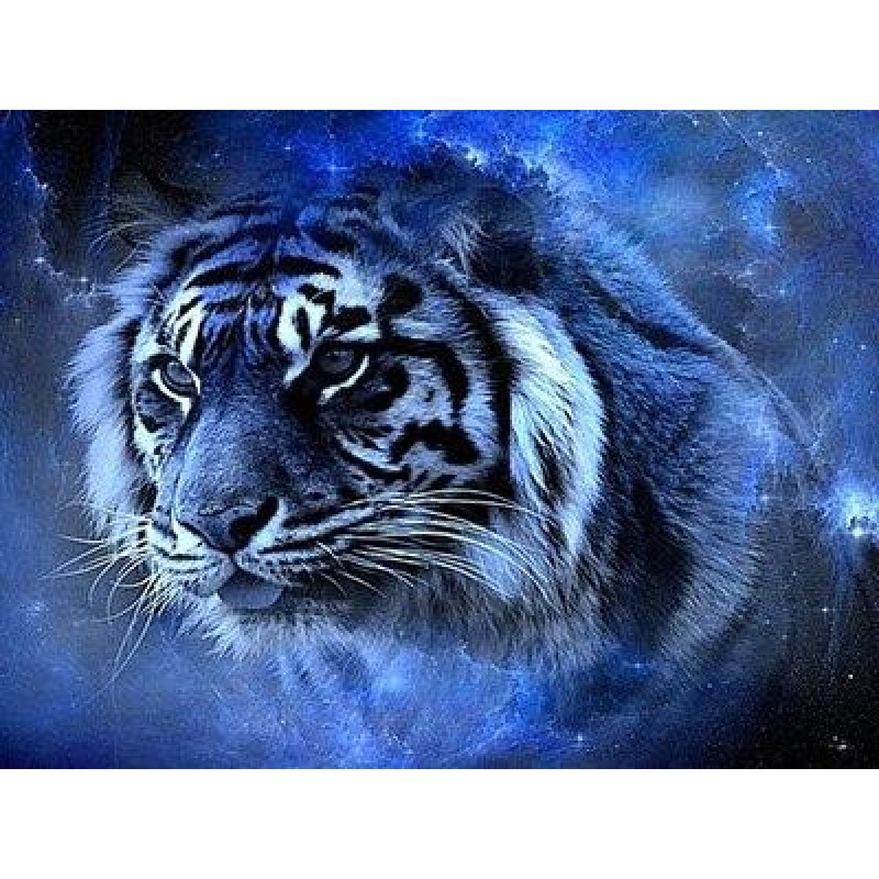 Cosmic tiger