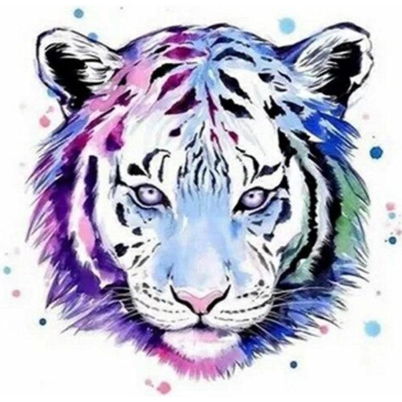 Purple and pink tige...