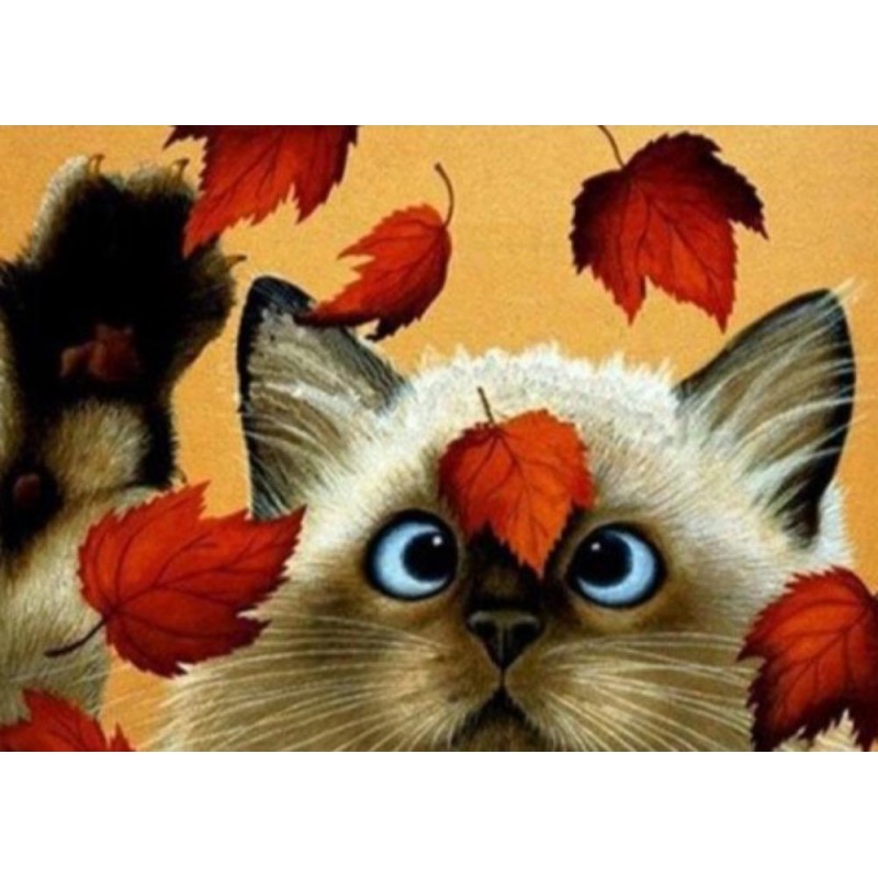 Cute kitty looking a...