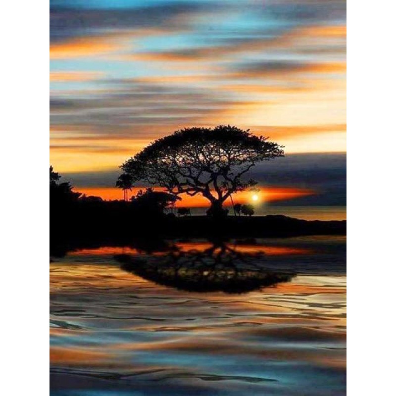 Tree in the sunset