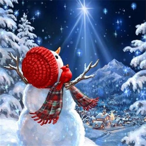 Snowman admiring a star