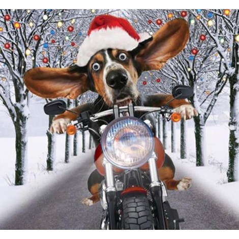 Basset Hound with a christmas hat