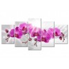 Bright pink orchids 5 Pieces set