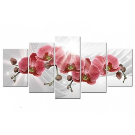 Beautiful rose orchids 5 Pieces set