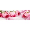 Long light pink roses