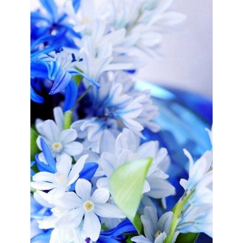 Vivid blue flowers c...