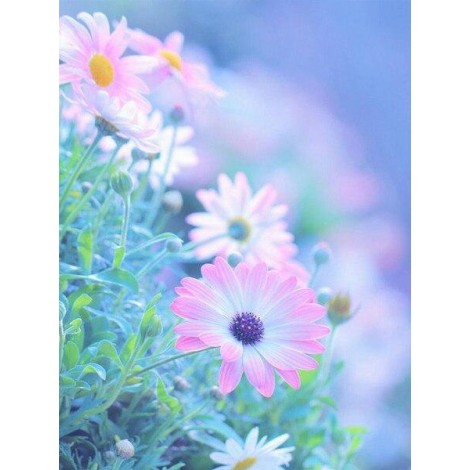 Multicoloured close-up