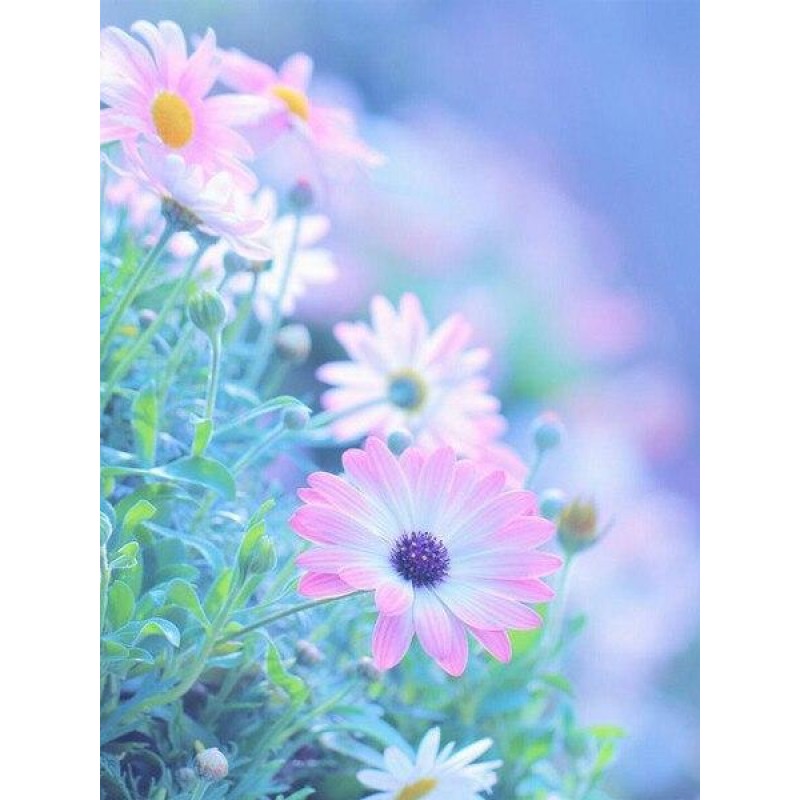 Multicoloured close-...