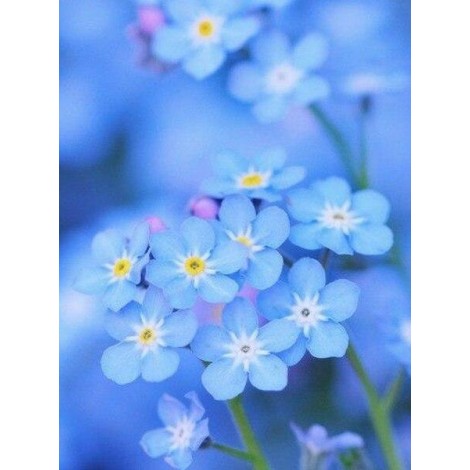 Bright blue close-up