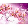 Pink orchids in the water