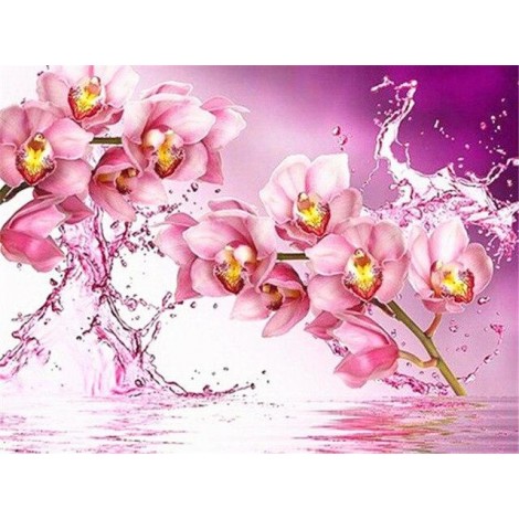 Pink orchids in the water