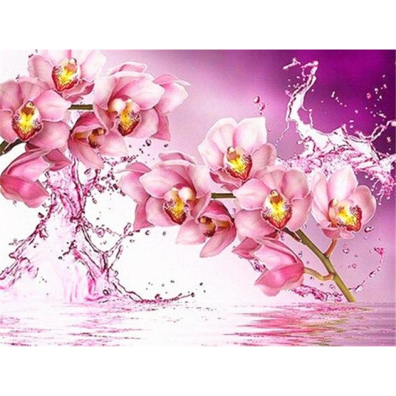 Pink orchids in the ...
