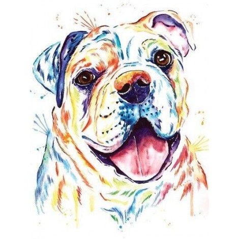 Colourful english bulldog