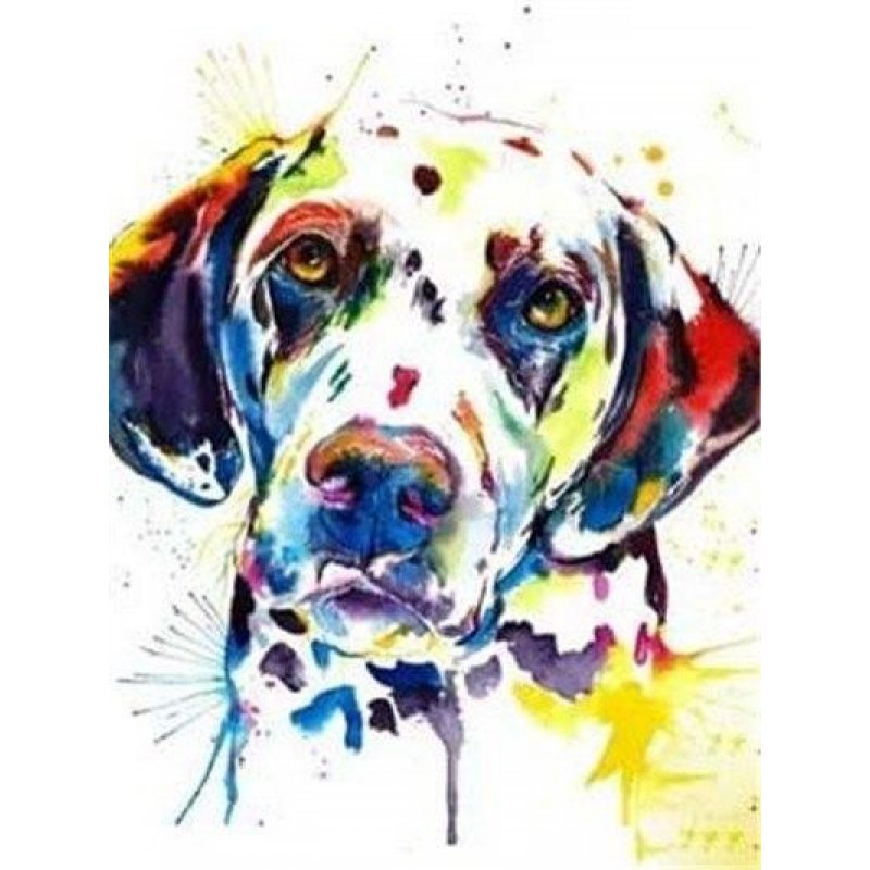 Colourful dalmatian