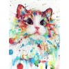 Colourful cat 2