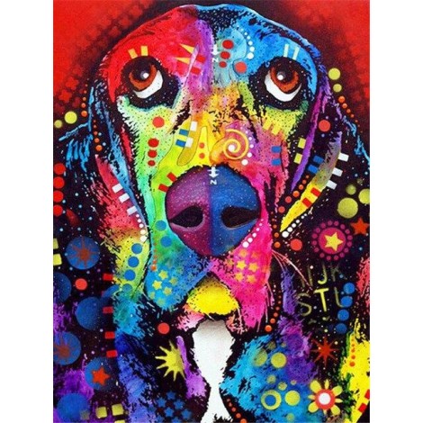 Colourful basset hound