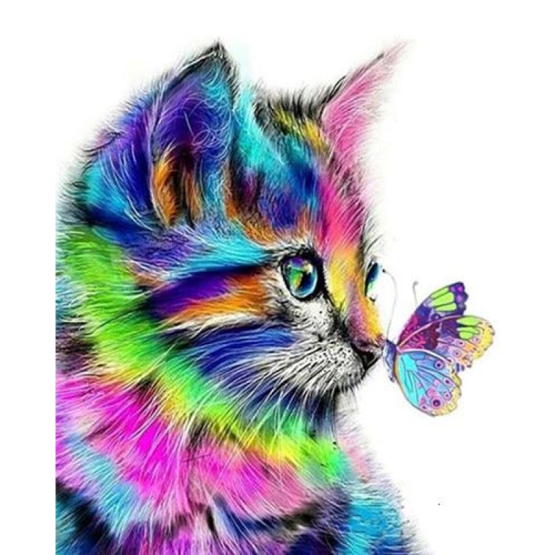 Cat and butterfly